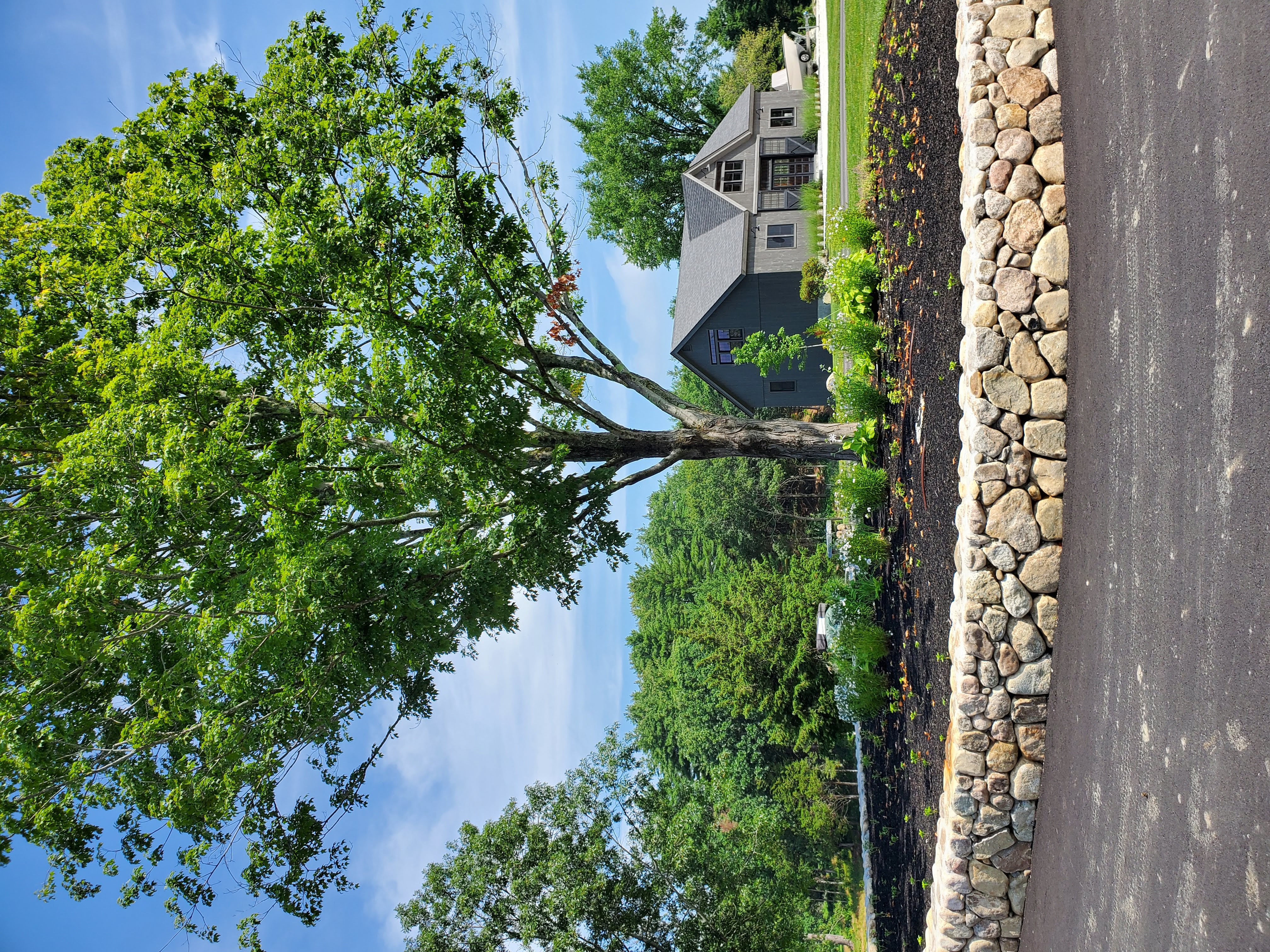 Stiles & Sons project